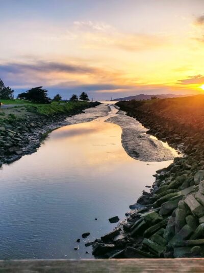 Point Isabel Regional Shoreline - Richmond, CA