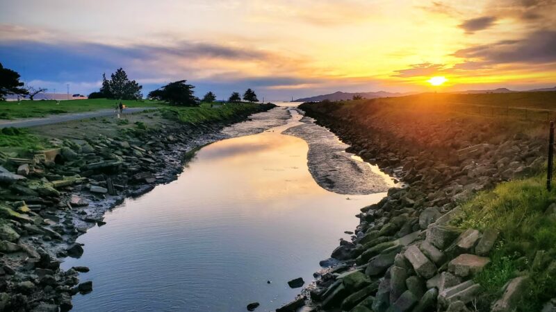 Point Isabel Regional Shoreline - Richmond, CA
