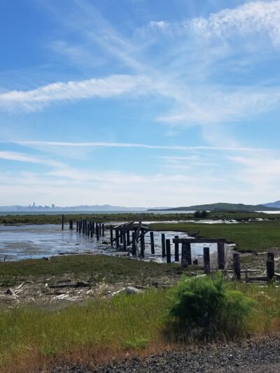 Point Isabel Regional Shoreline - Richmond, CA