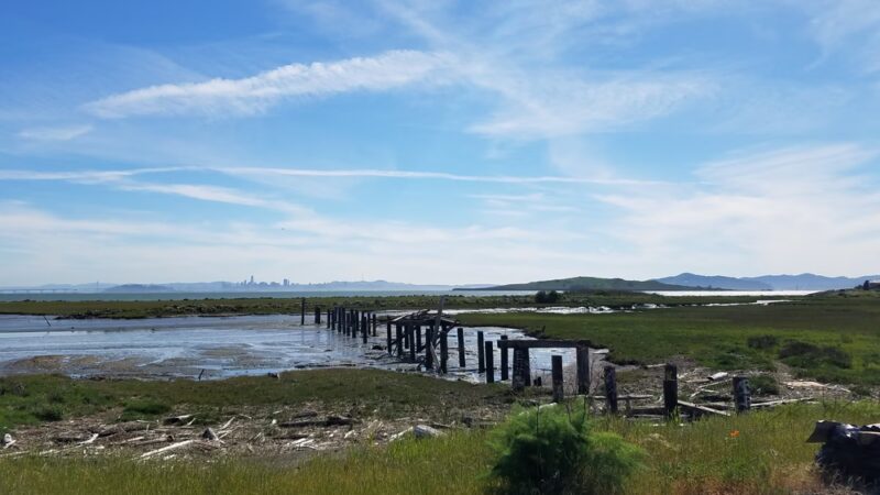 Point Isabel Regional Shoreline - Richmond, CA