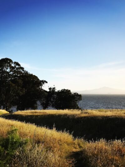 Point Pinole Regional Shoreline - Richmond, CA