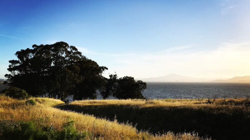 Point Pinole Regional Shoreline - Richmond, CA