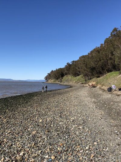 Point Pinole Regional Shoreline - Richmond, CA