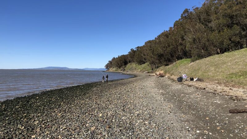 Point Pinole Regional Shoreline - Richmond, CA