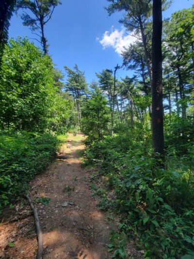 Forest Park Hiking Trails - Richmond Hill, NY