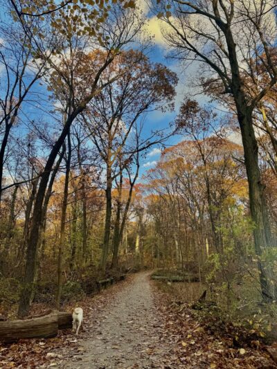 Forest Park Hiking Trails - Richmond Hill, NY