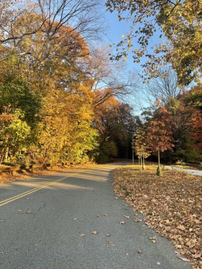 Jackson Pond Playground - Richmond Hill, NY