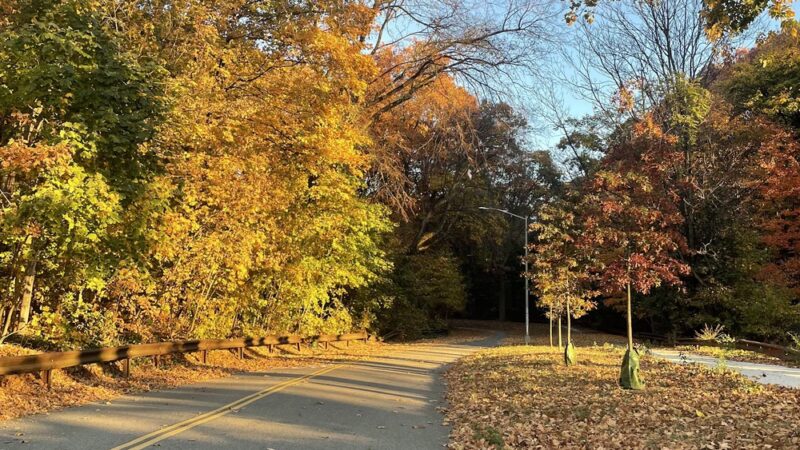 Jackson Pond Playground - Richmond Hill, NY