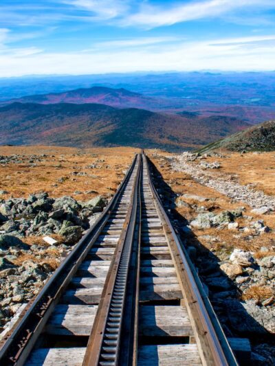 Forest Park Blue Trail Head - Richmond Hill, NY