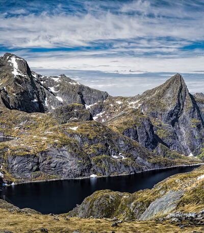 Forest Park Blue Trail Head - Richmond Hill, NY