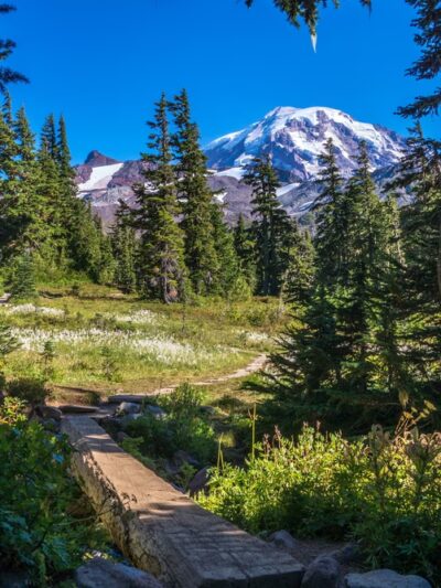 Forest Park Blue Trail Head - Richmond Hill, NY