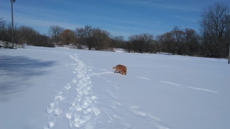 McConnell Park - Richmond, IL