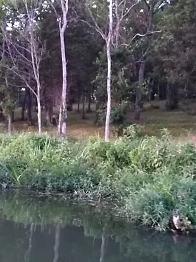 Camp Catalpa Park-Disc Golf/Playground/Trails - Richmond, KY