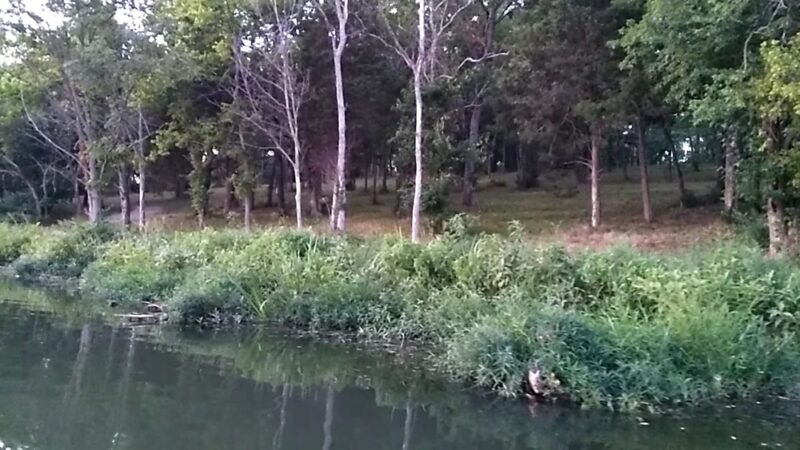 Camp Catalpa Park-Disc Golf/Playground/Trails - Richmond, KY