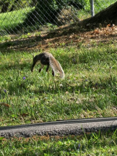 E.C. Million Memorial Park - Richmond, KY