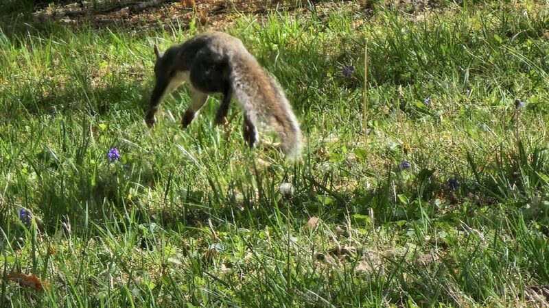 E.C. Million Memorial Park - Richmond, KY