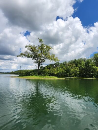 Lake Reba Shelter C - Richmond, KY