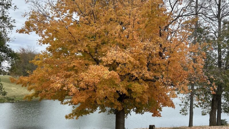 Lake Reba Shelter C - Richmond, KY