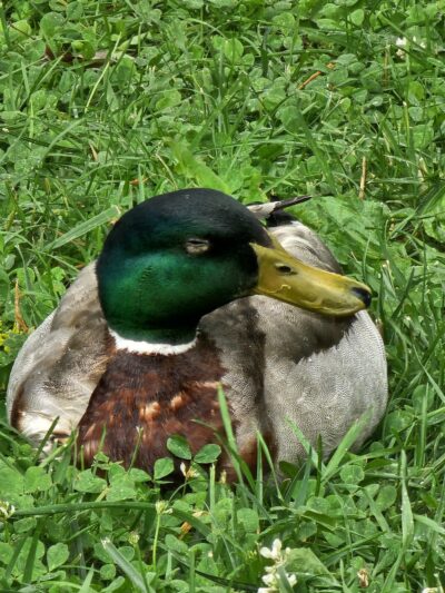 Lake Reba Shelter C - Richmond, KY