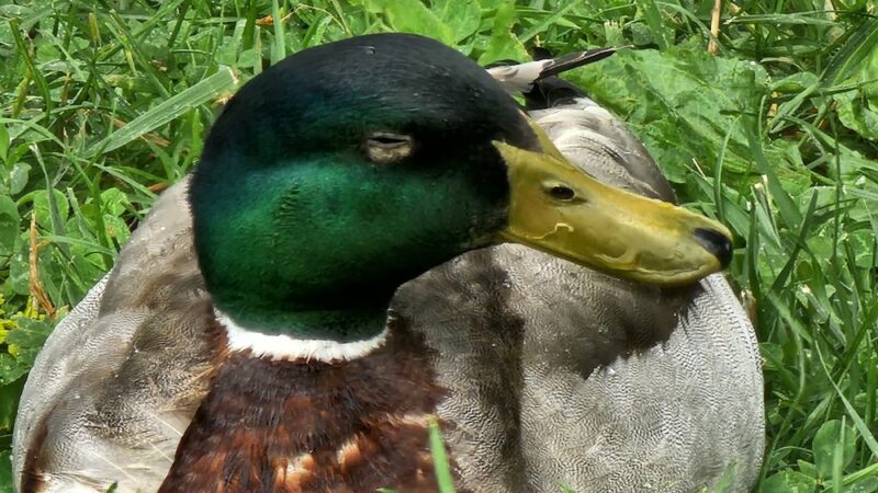 Lake Reba Shelter C - Richmond, KY