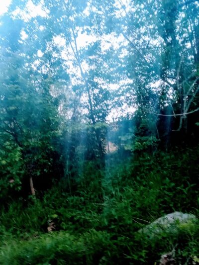 union city park - Richmond, KY