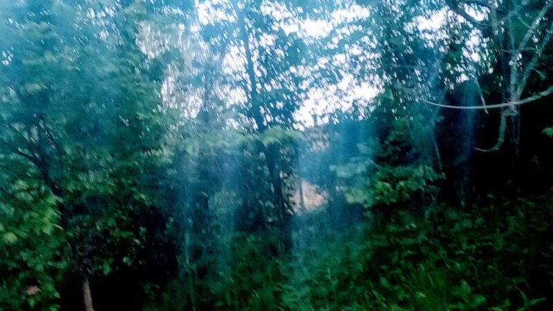 union city park - Richmond, KY