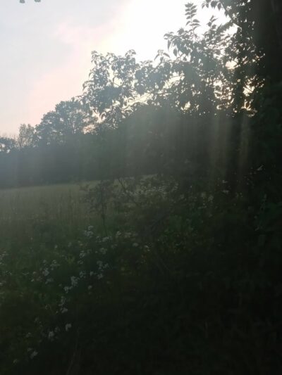 union city park - Richmond, KY