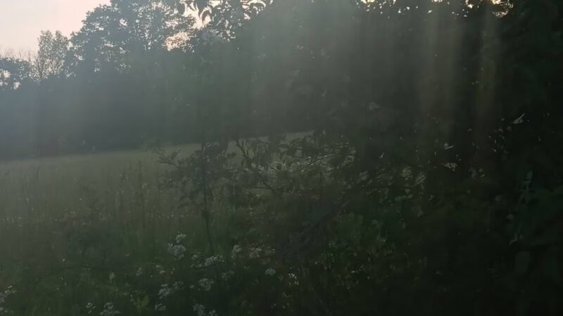 union city park - Richmond, KY