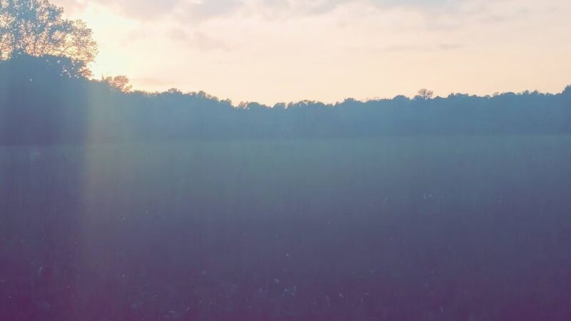 union city park - Richmond, KY