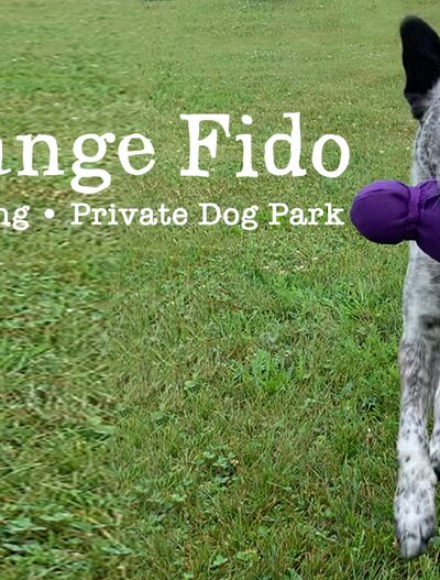 Free Range Fido - Richmond, ME