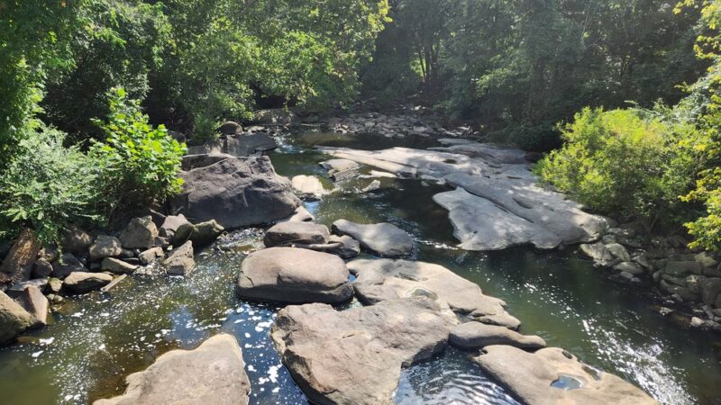 Bryan Park - Richmond, VA