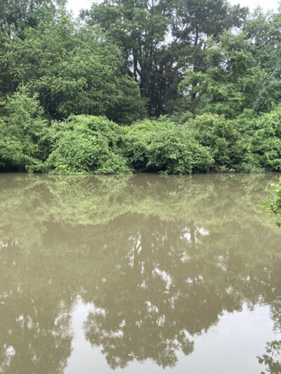 Fernbrook Park - Richmond, VA