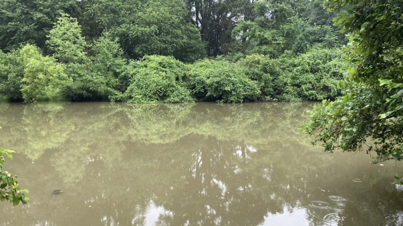 Fernbrook Park - Richmond, VA