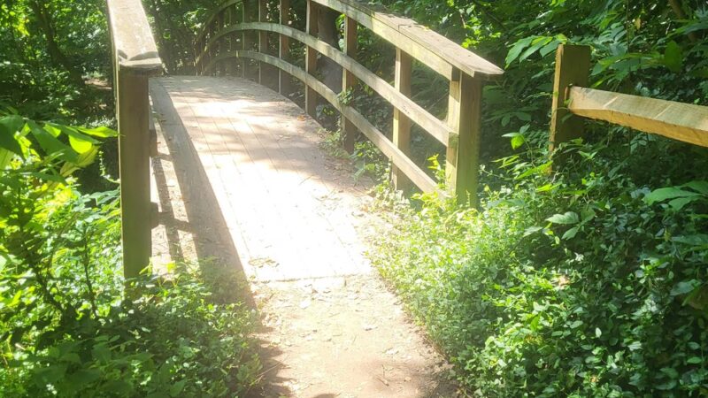 Reedy Creek Trail Parking Lot - Richmond, VA