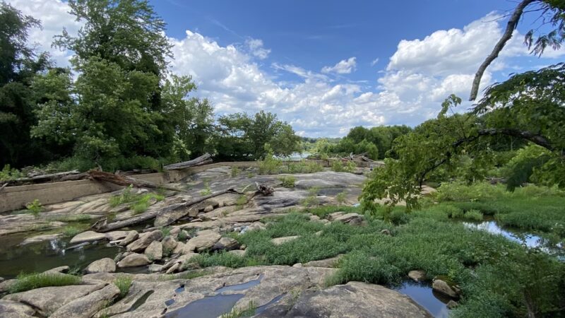 Reedy Creek Trail Parking Lot - Richmond, VA