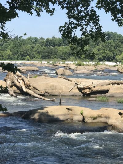 Reedy Creek Trail Parking Lot - Richmond, VA
