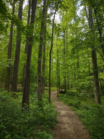 Rockwood Park - Richmond, VA