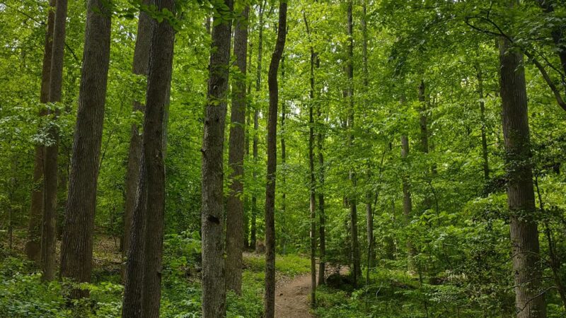 Rockwood Park - Richmond, VA
