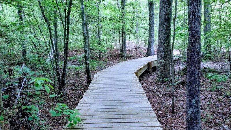 Short Pump Park Walking Trail - Richmond, VA