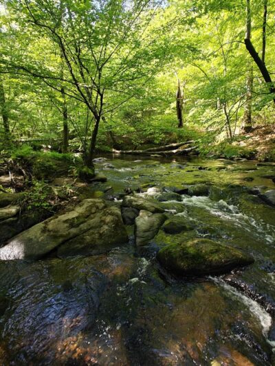 Stratton Park - Richmond, VA
