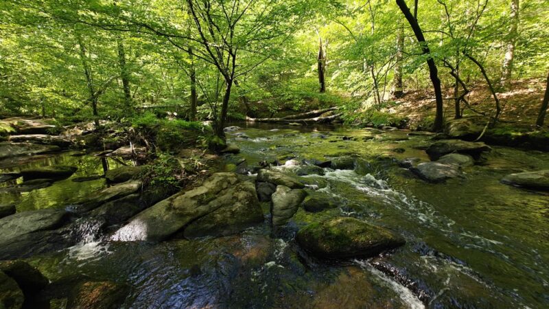 Stratton Park - Richmond, VA