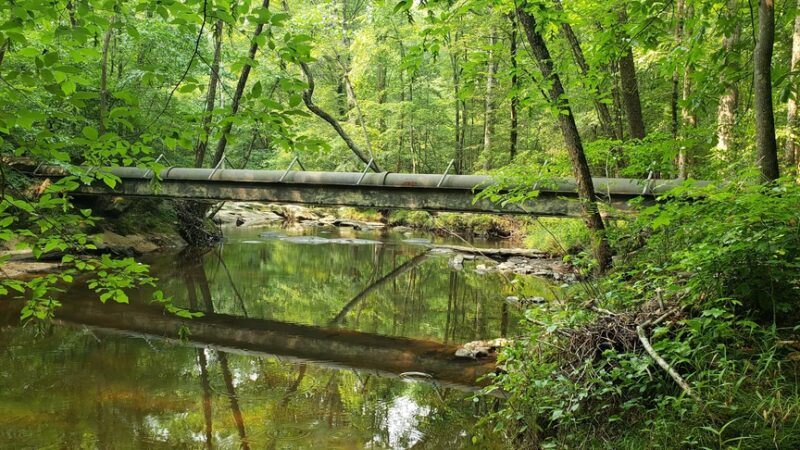 Stratton Park - Richmond, VA