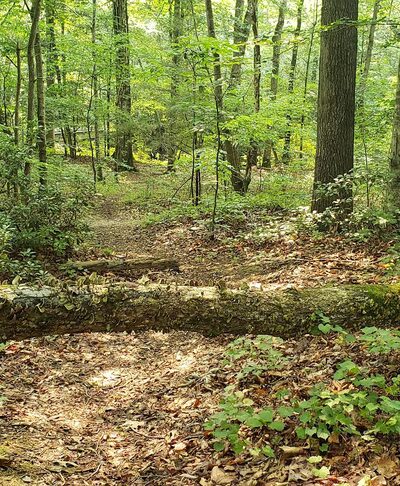 Stratton Park - Richmond, VA