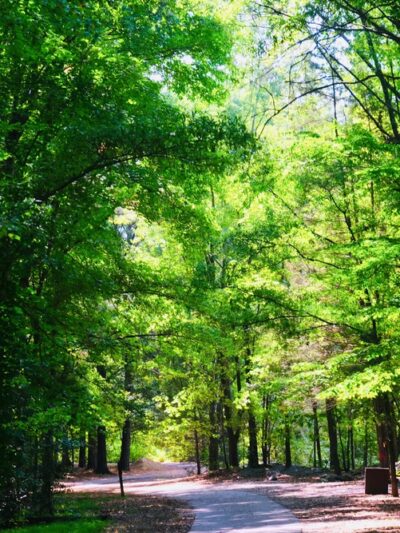 Three Lakes Park & Nature Center - Richmond, VA