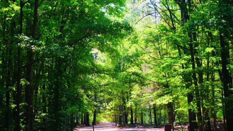 Three Lakes Park & Nature Center - Richmond, VA