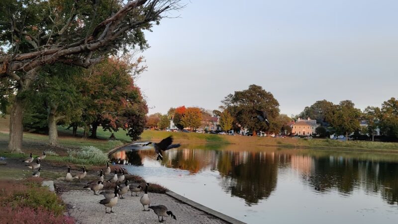 William Byrd Park - Richmond, VA