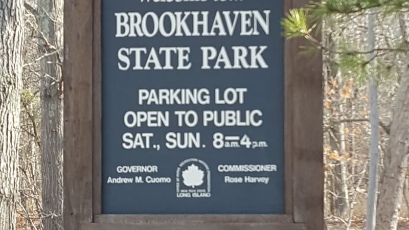 Brookhaven State Park - Ridge, NY