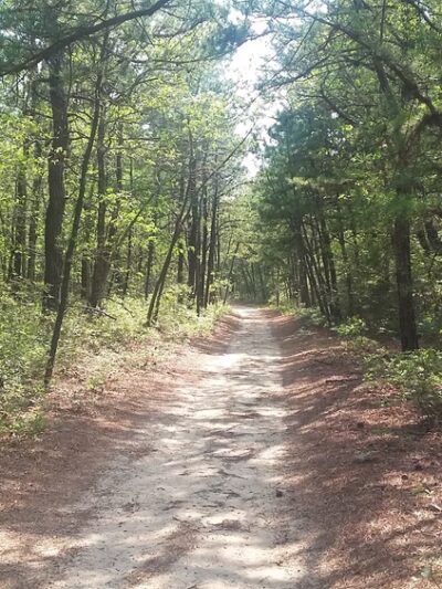 Brookhaven State Park - Ridge, NY