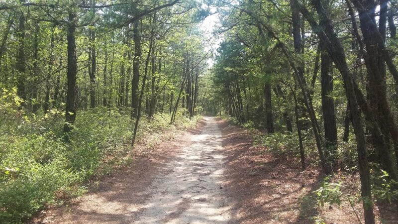 Brookhaven State Park - Ridge, NY