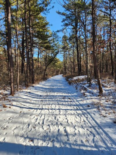 Brookhaven State Park - Ridge, NY